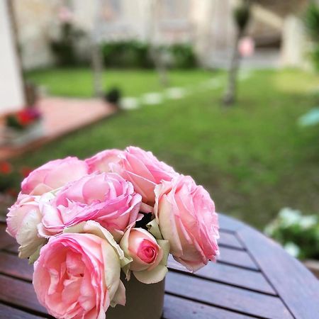 Victoria House B&B ปิซา ภายนอก รูปภาพ