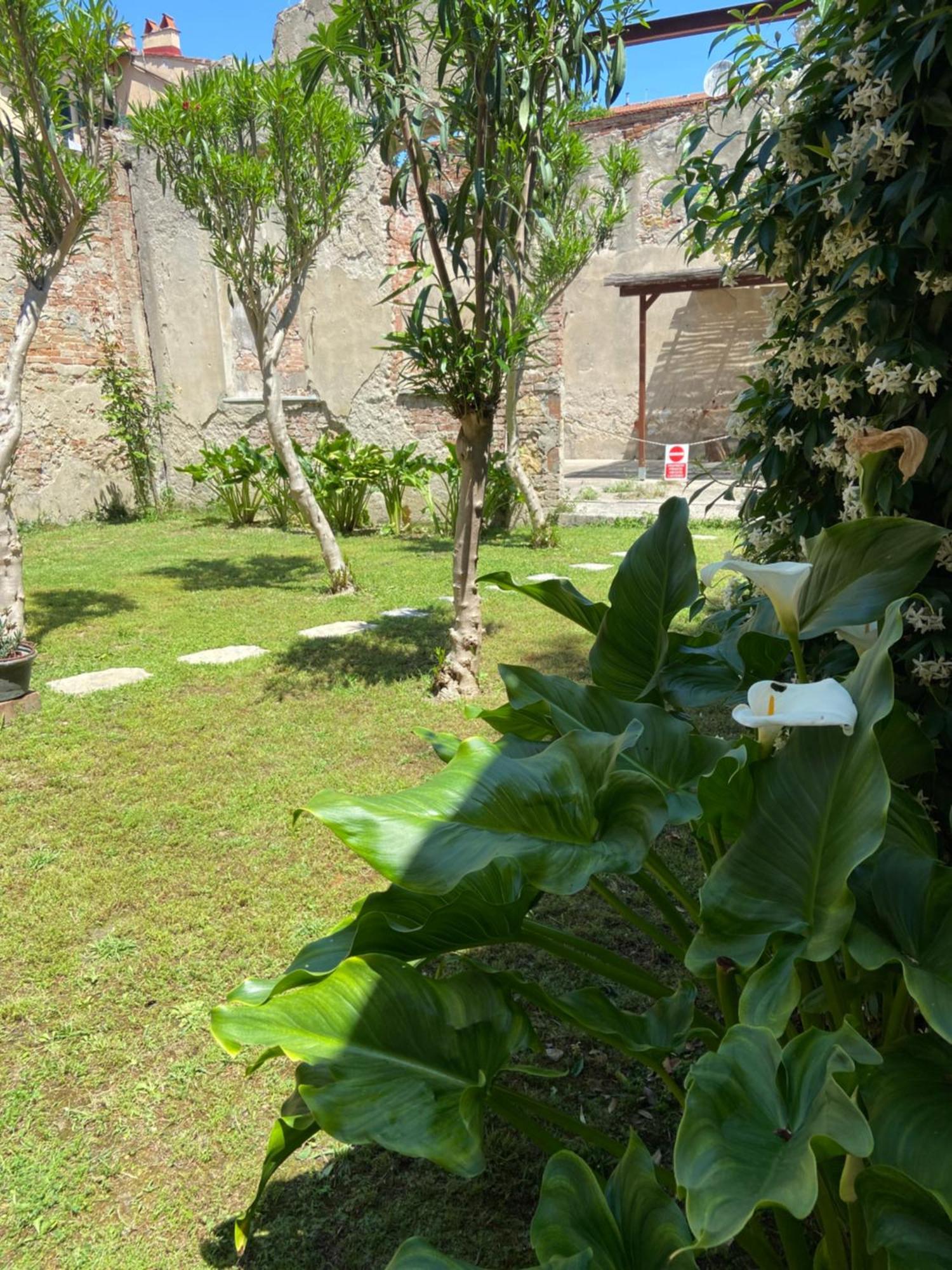 Victoria House B&B ปิซา ภายนอก รูปภาพ